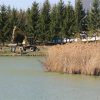 IMG_2977