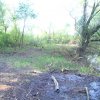 IMG00003