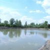 IMG00015