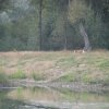 IMG00065