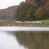 IMG_1644