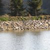 IMG_1746