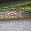 IMG_1747