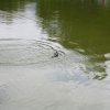 IMG_5122