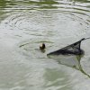 IMG_5123