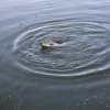 IMG_0341