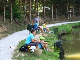 IMG_0377