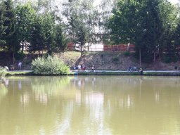 IMG_0390