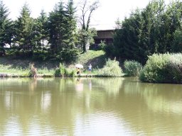 IMG_0393