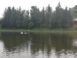 IMG_20230624_081009