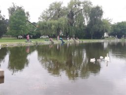 IMG_20230624_092205