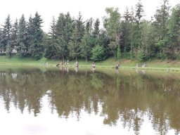 IMG_20230624_092224