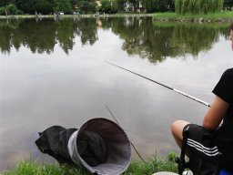 IMG_20230624_092435
