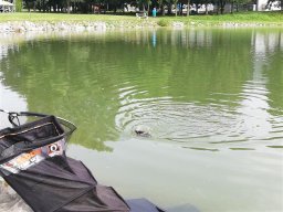 img_20240622_094729